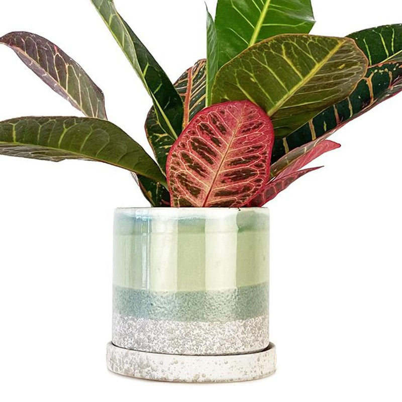 Ceramic Plant Pot & Saucer M | Green/White